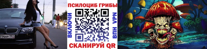 магазин продажи   Заводоуковск  Псилоцибиновые грибы Psilocybe 